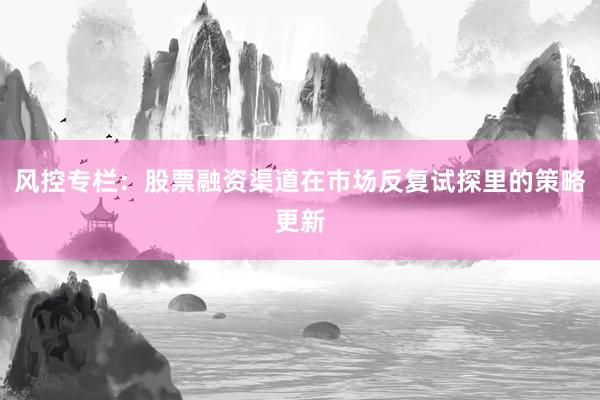 风控专栏：股票融资渠道在市场反复试探里的策略更新