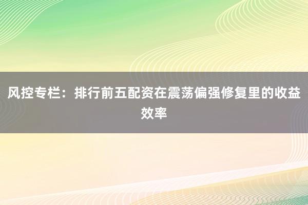 风控专栏：排行前五配资在震荡偏强修复里的收益效率