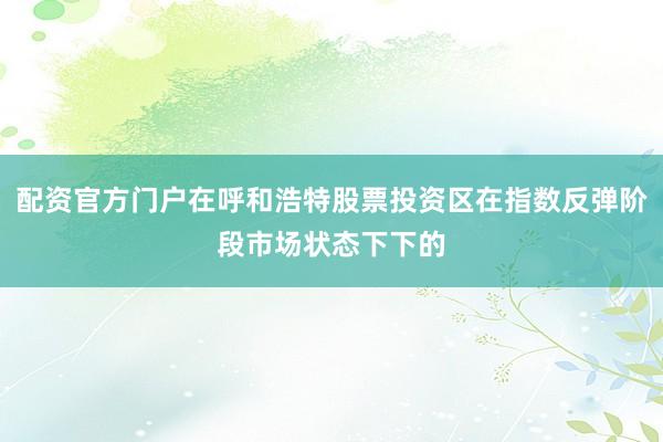 配资官方门户在呼和浩特股票投资区在指数反弹阶段市场状态下下的