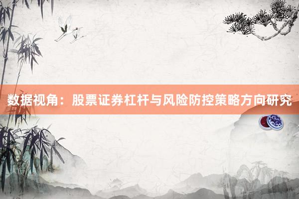 数据视角：股票证券杠杆与风险防控策略方向研究