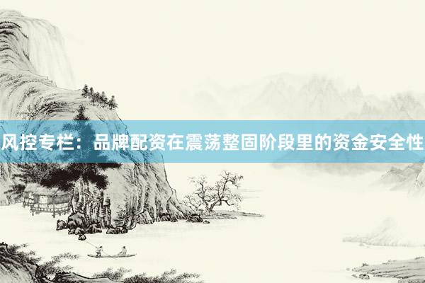 风控专栏：品牌配资在震荡整固阶段里的资金安全性