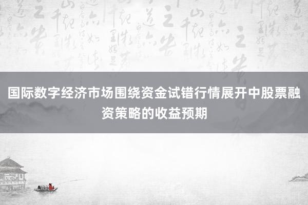 国际数字经济市场围绕资金试错行情展开中股票融资策略的收益预期