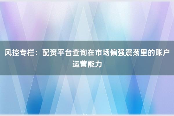 风控专栏:配资平台查询在市场偏强震荡里的账户运营能力