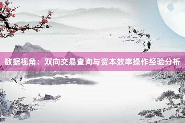 数据视角：双向交易查询与资本效率操作经验分析