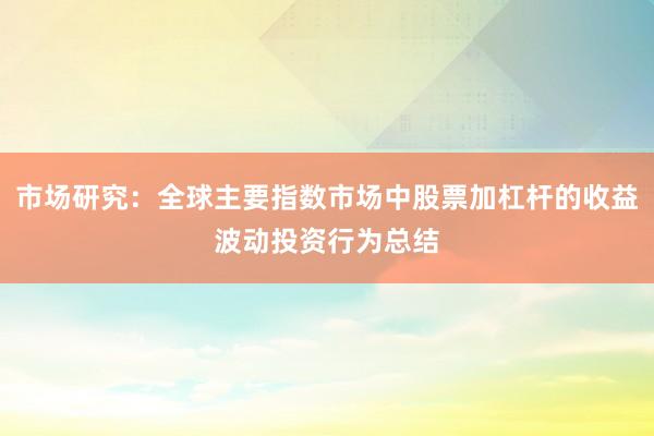 市场研究：全球主要指数市场中股票加杠杆的收益波动投资行为总结