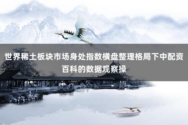 世界稀土板块市场身处指数横盘整理格局下中配资百科的数据观察操