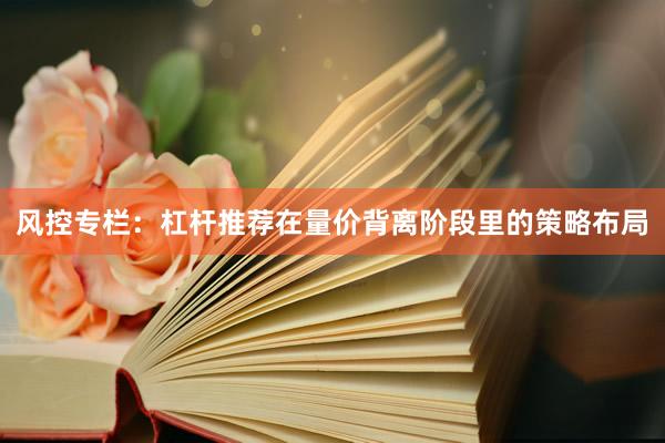 风控专栏：杠杆推荐在量价背离阶段里的策略布局