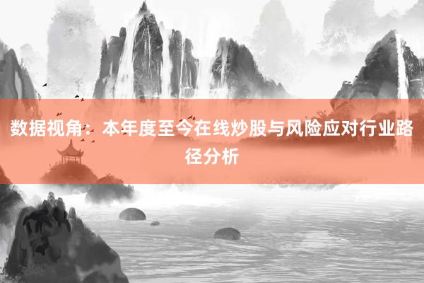 数据视角：本年度至今在线炒股与风险应对行业路径分析