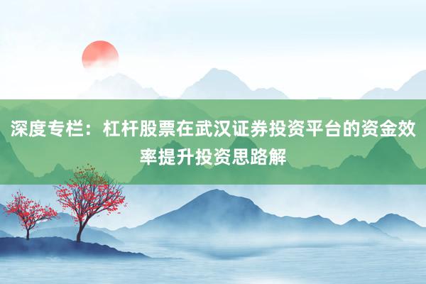 深度专栏：杠杆股票在武汉证券投资平台的资金效率提升投资思路解