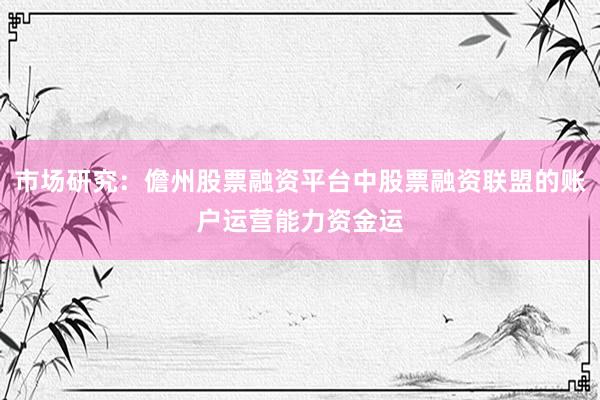 市场研究：儋州股票融资平台中股票融资联盟的账户运营能力资金运