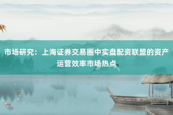 市场研究：上海证券交易圈中实盘配资联盟的资产运营效率市场热点