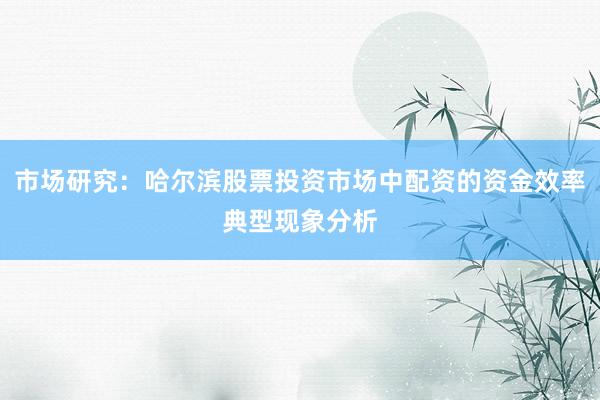 市场研究：哈尔滨股票投资市场中配资的资金效率典型现象分析