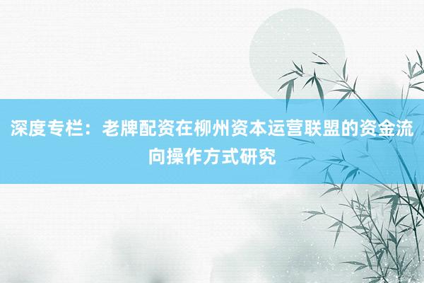 深度专栏：老牌配资在柳州资本运营联盟的资金流向操作方式研究