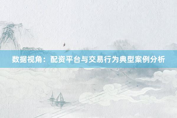 数据视角：配资平台与交易行为典型案例分析