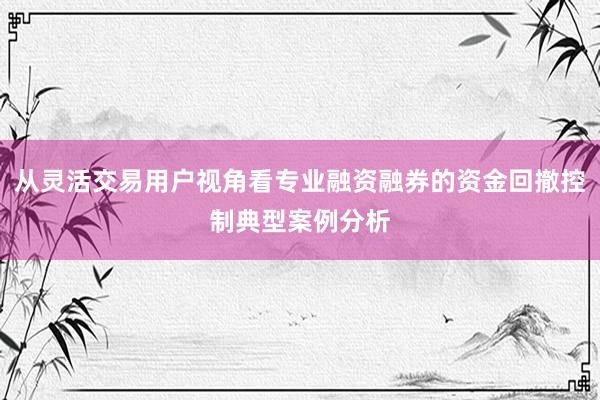 从灵活交易用户视角看专业融资融券的资金回撤控制典型案例分析