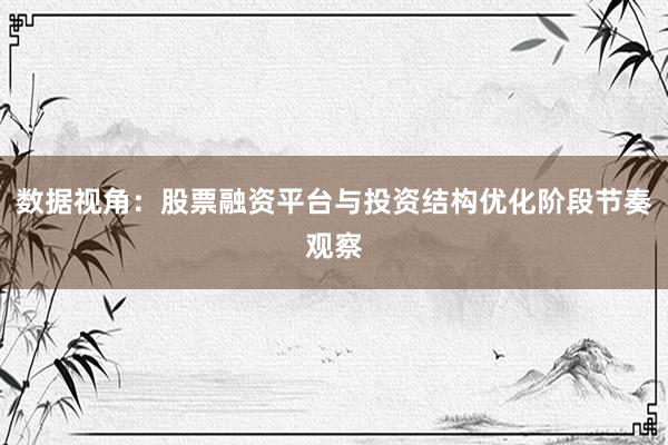 数据视角：股票融资平台与投资结构优化阶段节奏观察