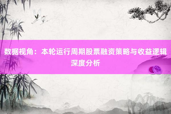 数据视角：本轮运行周期股票融资策略与收益逻辑深度分析