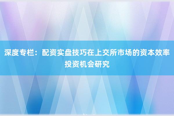 深度专栏：配资实盘技巧在上交所市场的资本效率投资机会研究