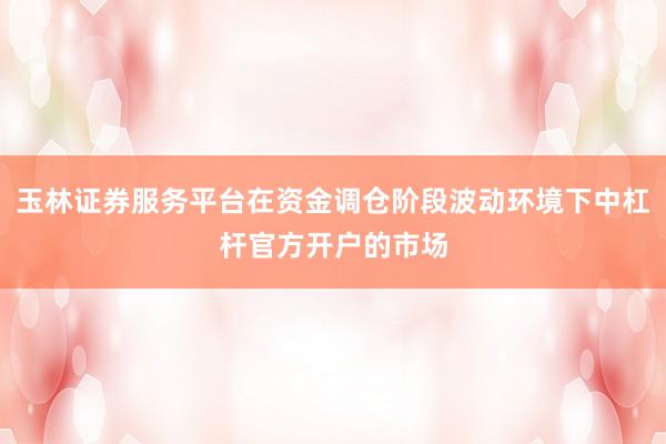 玉林证券服务平台在资金调仓阶段波动环境下中杠杆官方开户的市场
