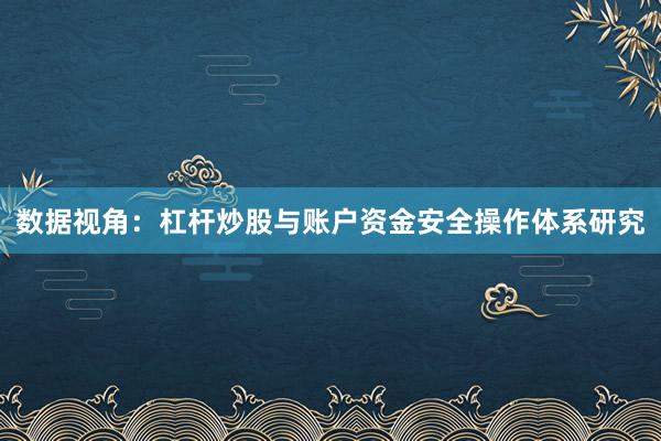 数据视角：杠杆炒股与账户资金安全操作体系研究
