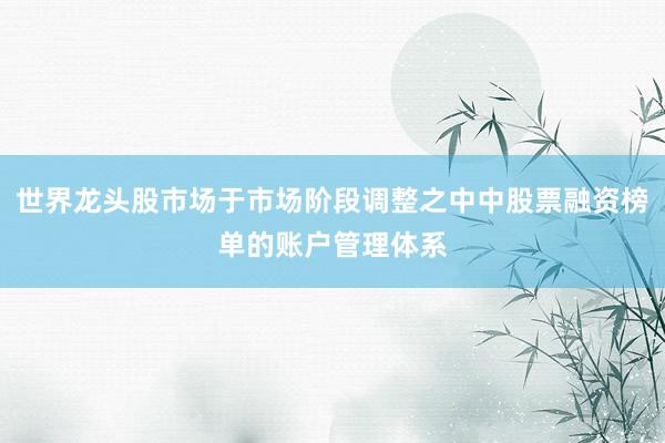 世界龙头股市场于市场阶段调整之中中股票融资榜单的账户管理体系