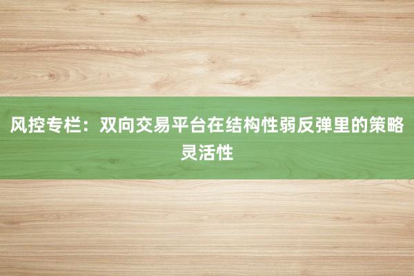 风控专栏：双向交易平台在结构性弱反弹里的策略灵活性