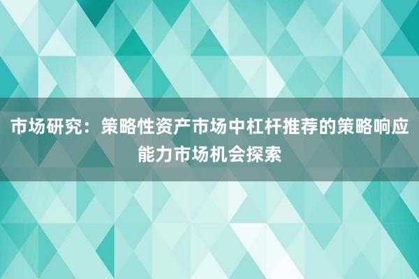 市场研究：策略性资产市场中杠杆推荐的策略响应能力市场机会探索
