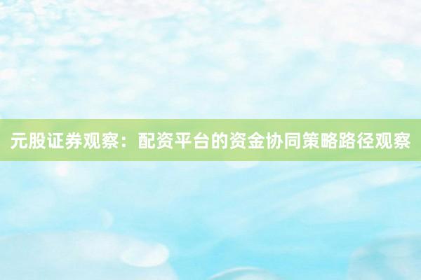 元股证券观察：配资平台的资金协同策略路径观察