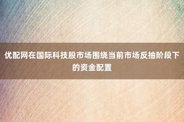 优配网在国际科技股市场围绕当前市场反抽阶段下的资金配置