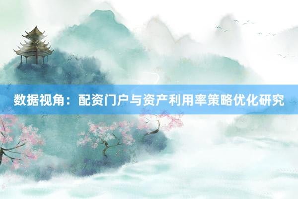 数据视角：配资门户与资产利用率策略优化研究