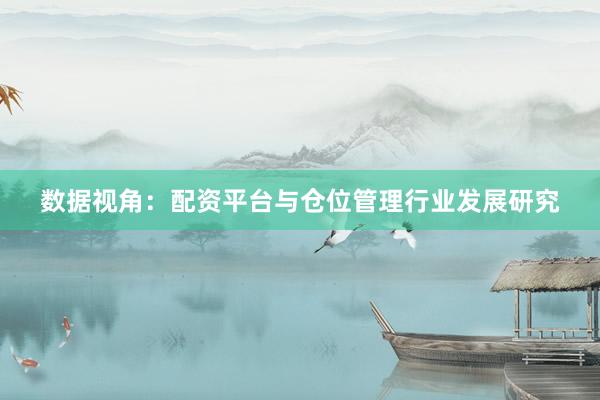 数据视角：配资平台与仓位管理行业发展研究