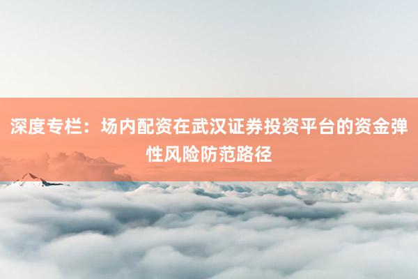 深度专栏：场内配资在武汉证券投资平台的资金弹性风险防范路径