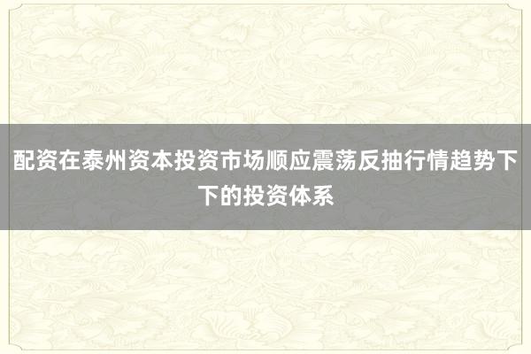 配资在泰州资本投资市场顺应震荡反抽行情趋势下下的投资体系