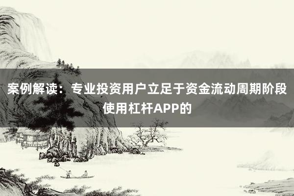 案例解读：专业投资用户立足于资金流动周期阶段使用杠杆APP的