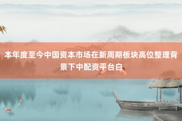 本年度至今中国资本市场在新周期板块高位整理背景下中配资平台白