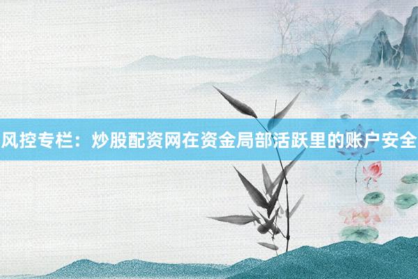 风控专栏：炒股配资网在资金局部活跃里的账户安全