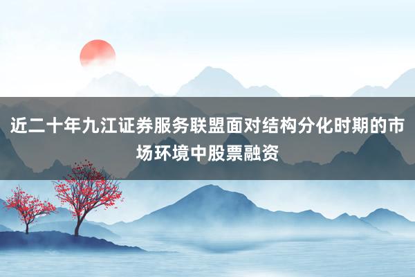 近二十年九江证券服务联盟面对结构分化时期的市场环境中股票融资