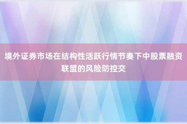 境外证券市场在结构性活跃行情节奏下中股票融资联盟的风险防控交