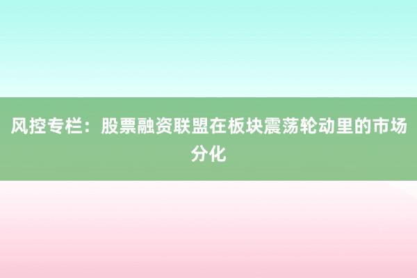 风控专栏：股票融资联盟在板块震荡轮动里的市场分化