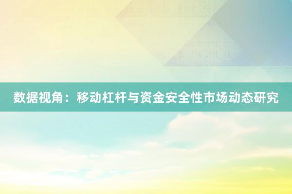 数据视角：移动杠杆与资金安全性市场动态研究