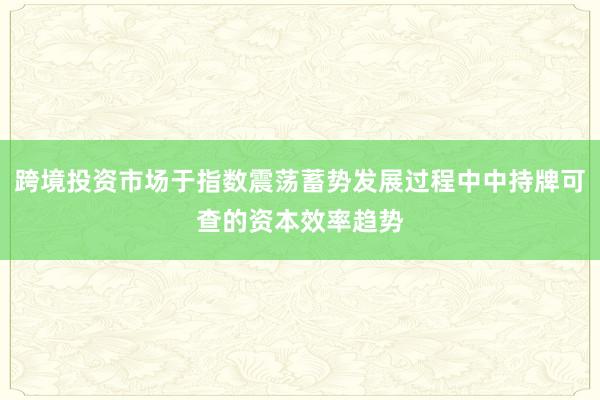 跨境投资市场于指数震荡蓄势发展过程中中持牌可查的资本效率趋势