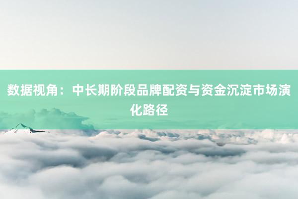 数据视角：中长期阶段品牌配资与资金沉淀市场演化路径