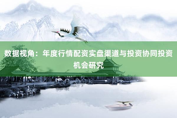 数据视角：年度行情配资实盘渠道与投资协同投资机会研究