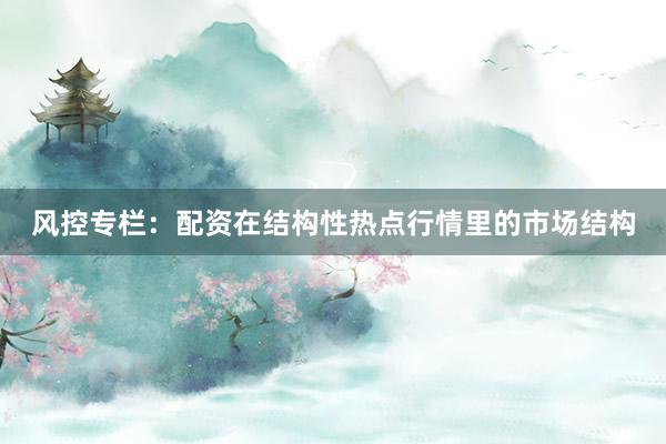 风控专栏：配资在结构性热点行情里的市场结构