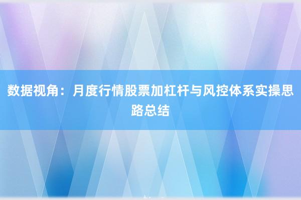 数据视角：月度行情股票加杠杆与风控体系实操思路总结