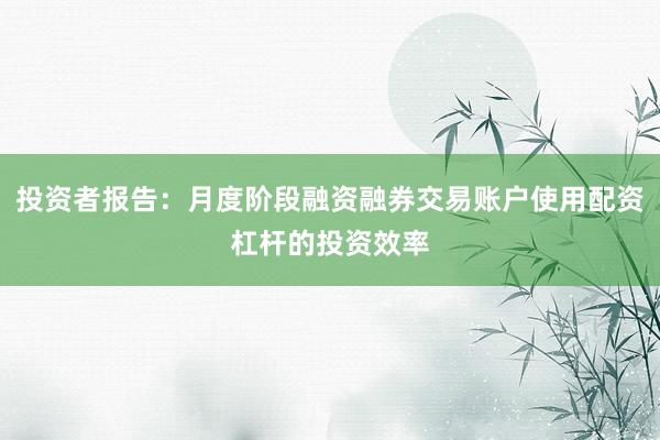 投资者报告：月度阶段融资融券交易账户使用配资杠杆的投资效率
