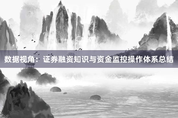 数据视角：证券融资知识与资金监控操作体系总结
