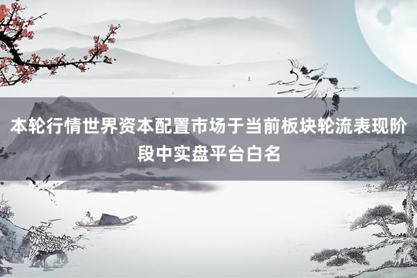 本轮行情世界资本配置市场于当前板块轮流表现阶段中实盘平台白名