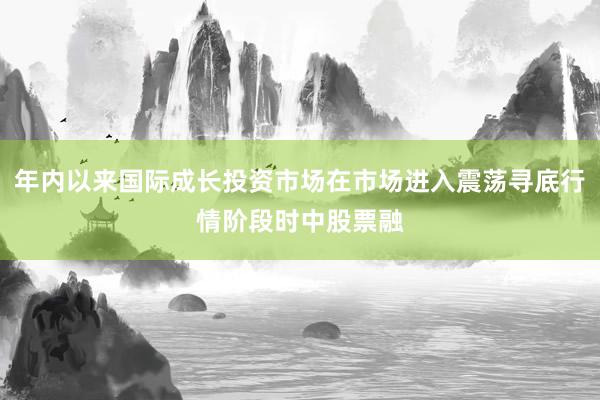 年内以来国际成长投资市场在市场进入震荡寻底行情阶段时中股票融