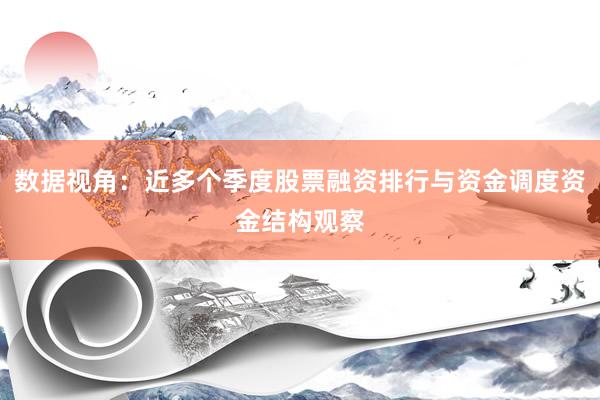 数据视角：近多个季度股票融资排行与资金调度资金结构观察